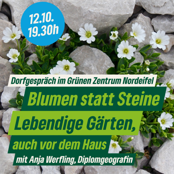 Die Grünen Ortsverband Roetgen Dorfgespräch Blumen statt Steine